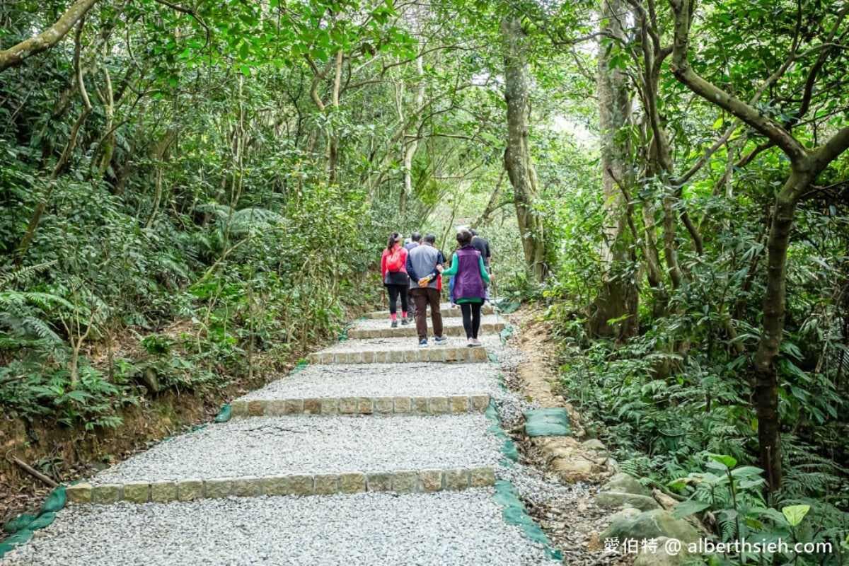 桃園人避暑首選!6條超好走私房步道:夢幻水母廊道、台灣小百岳、瀑布祕境 桃園人避暑首選!6條超好走私房步道:夢幻水母廊道、台灣小百岳、瀑布祕境