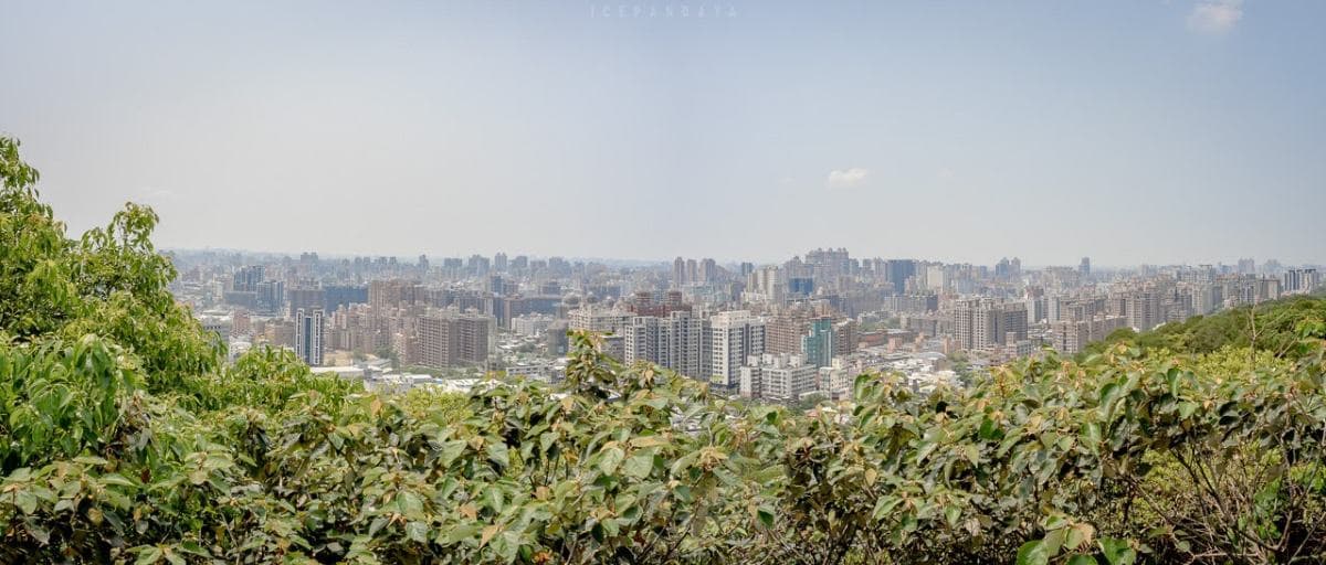 桃園人避暑首選!6條超好走私房步道:夢幻水母廊道、台灣小百岳、瀑布祕境 桃園人避暑首選!6條超好走私房步道:夢幻水母廊道、台灣小百岳、瀑布祕境