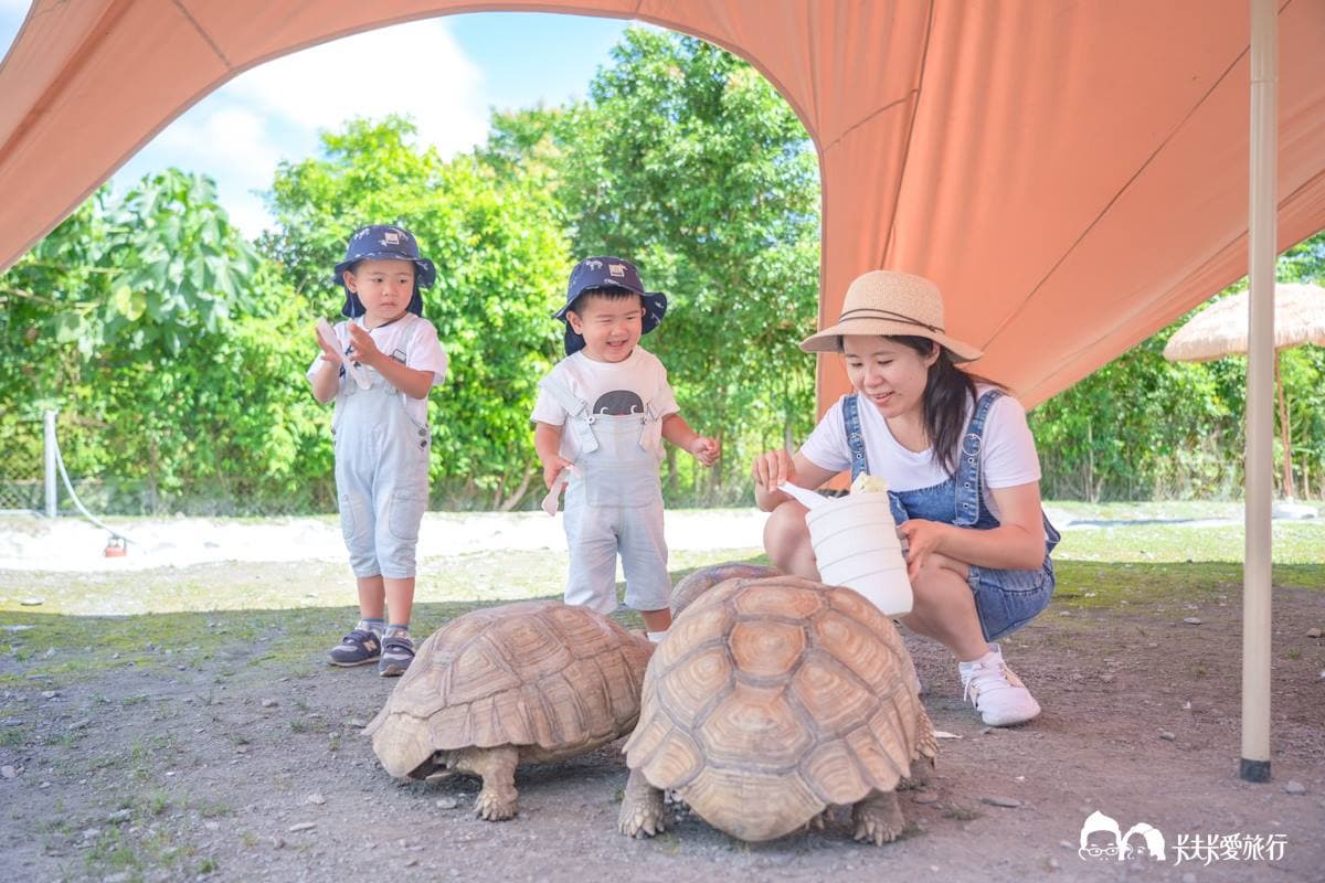 【新開店】最低100元玩到飽!「宜蘭親子農場」近距離餵陸龜、狐獴、柯爾鴨 【新開店】最低100元玩到飽!「宜蘭親子農場」近距離餵陸龜、狐獴、柯爾鴨