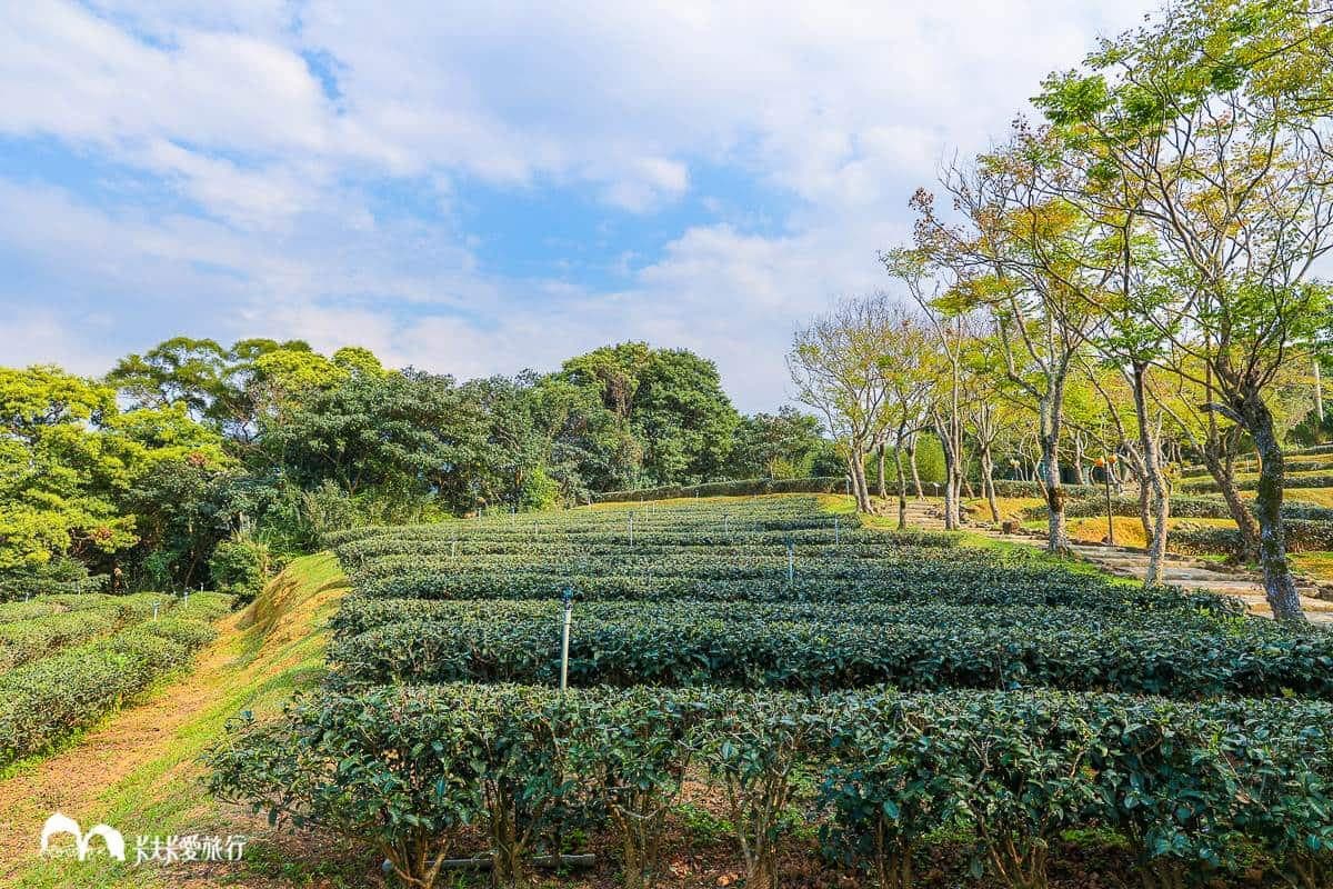 端午連假衝新北!7大必訪「景點+限時活動」:迪士尼沙雕展、三麗鷗光雕秀 端午連假衝新北!7大必訪「景點+限時活動」:迪士尼沙雕展、三麗鷗光雕秀