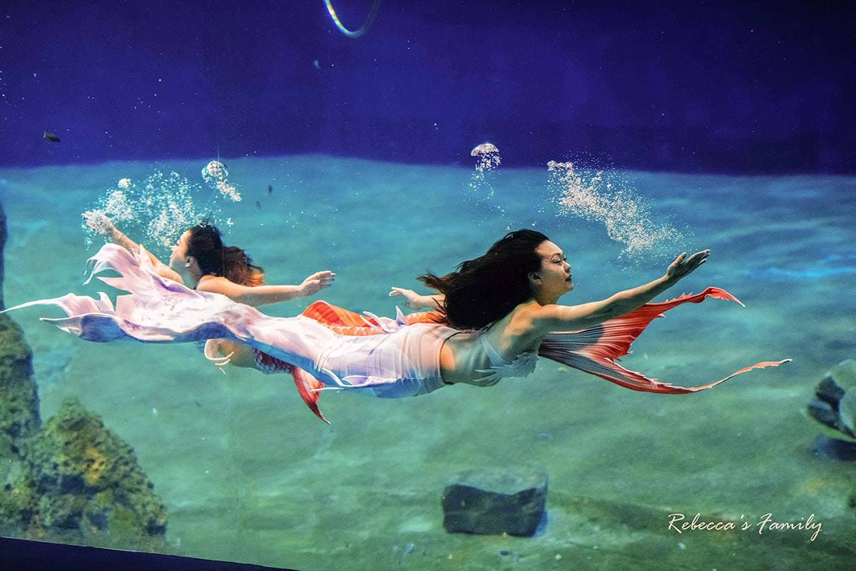 媽媽們都超愛去!親子必逛「最強水族館」TOP6:全台規模最大、獨家美人魚秀 媽媽們都超愛去!親子必逛「最強水族館」TOP6:全台規模最大、獨家美人魚秀