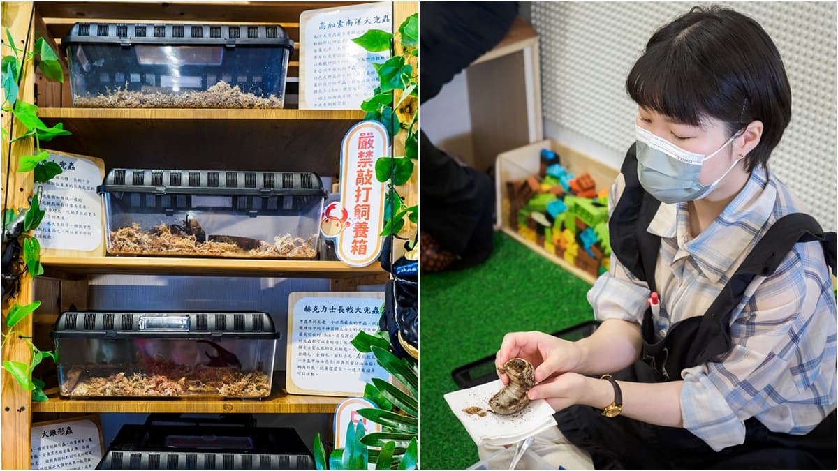全台唯一「甲蟲主題」親子餐廳!必點超Q甲蟲鬆餅,還有球池、遊戲區玩到瘋 全台唯一「甲蟲主題」親子餐廳!必點超Q甲蟲鬆餅,還有球池、遊戲區玩到瘋