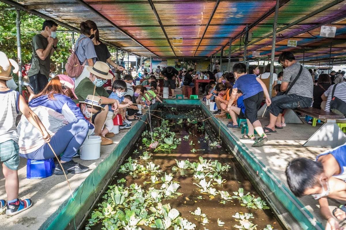 100元1票玩到飽!桃園「親子農場」週末才營業,餵兔兔、天竺鼠、小羊零距離 100元1票玩到飽!桃園「親子農場」週末才營業,餵兔兔、天竺鼠、小羊零距離