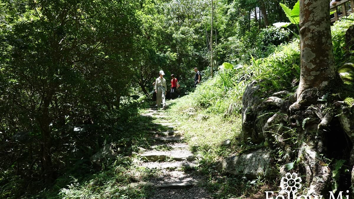 八仙山國家森林遊樂區 img