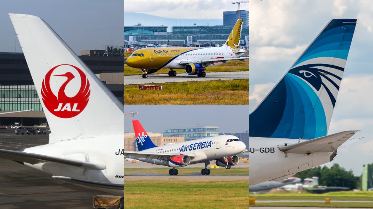 今年出國了沒?各國飛機Logo揭祕,鳥類圖案「這航空」台灣人一定坐過