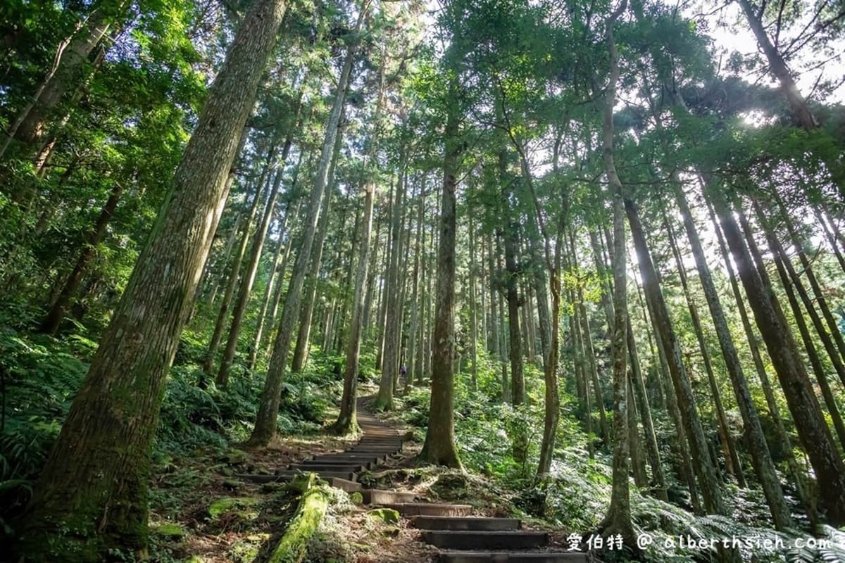 12歲以下免門票!全台最強「國家森林遊樂區」TOP13,免費搭小火車遊山林 12歲以下免門票!全台最強「國家森林遊樂區」TOP13,免費搭小火車遊山林