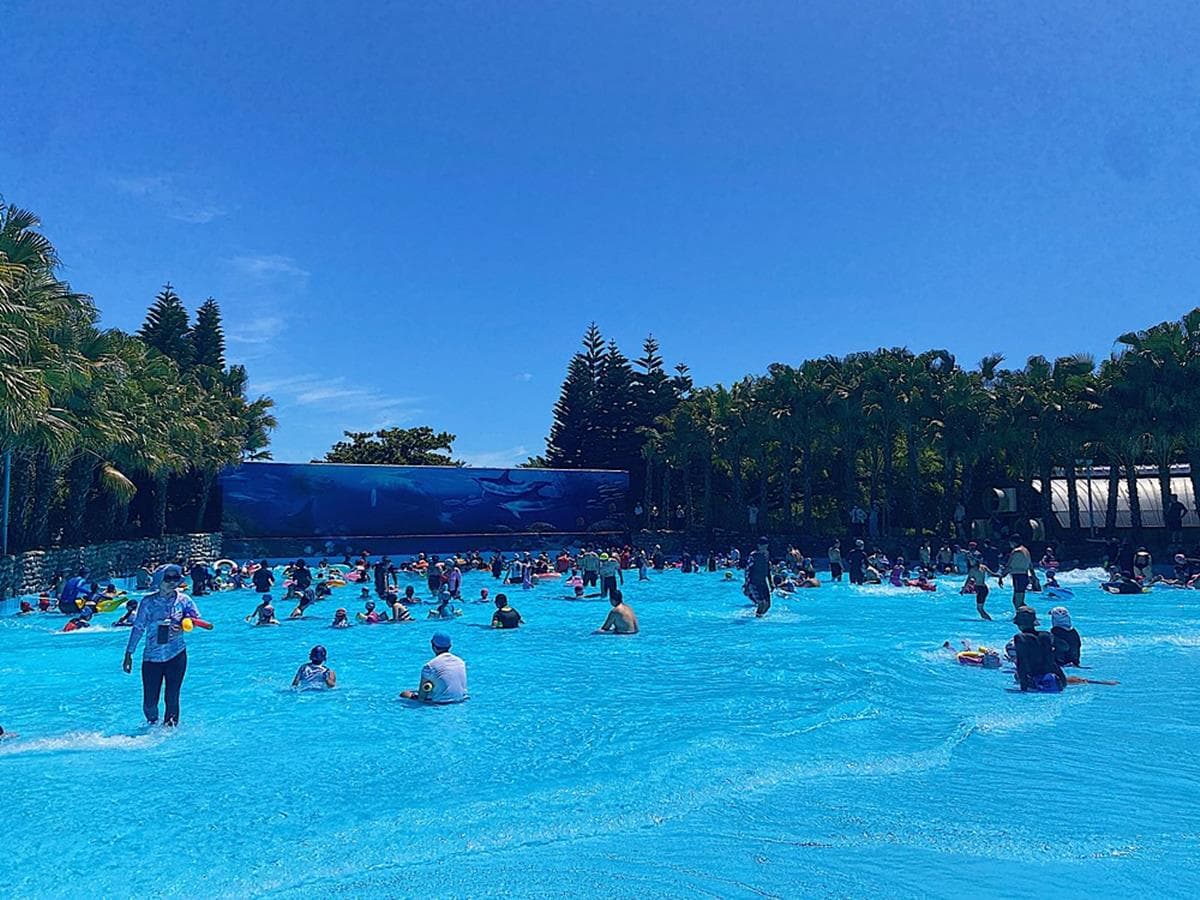 「花蓮最大水上樂園」50元玩到飽!這「5類人」免費入園,先衝8米高滑水道 「花蓮最大水上樂園」50元玩到飽!這「5類人」免費入園,先衝8米高滑水道