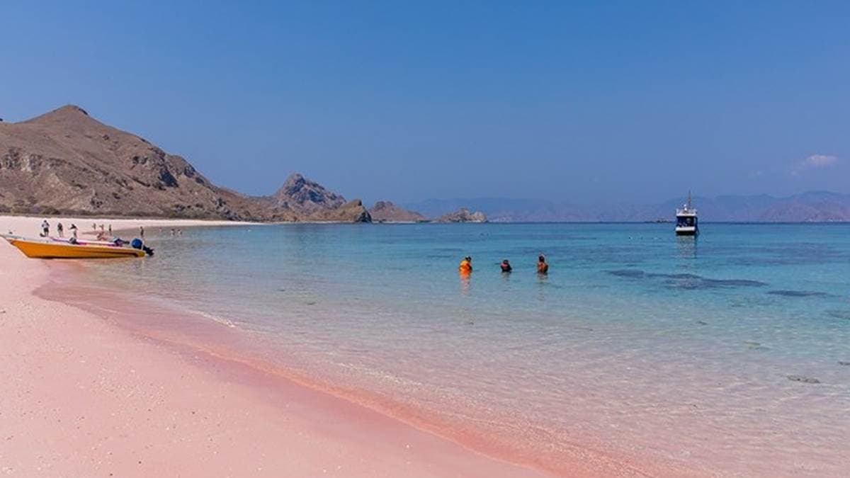 科莫多島