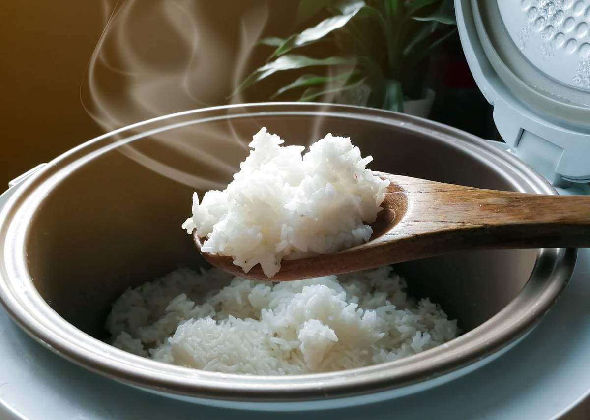 別讓食物中毒找上你!剩飯超過「這天數」加熱,專家:恐吃下一堆毒素 別讓食物中毒找上你!剩飯超過「這天數」加熱,專家:恐吃下一堆毒素