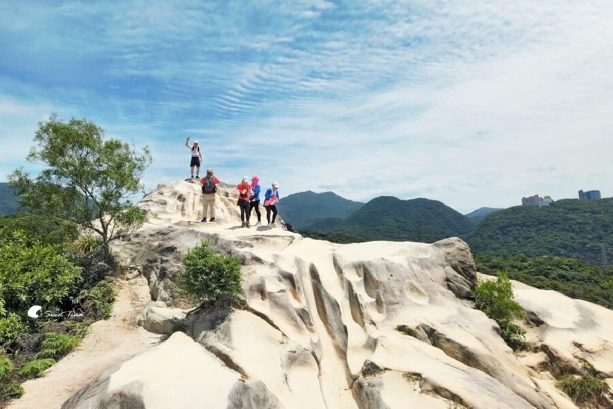 搭捷運就能到!雙北8條消暑系「森林步道」:無敵山景零死角、打卡復古拱橋 搭捷運就能到!雙北8條消暑系「森林步道」:無敵山景零死角、打卡復古拱橋