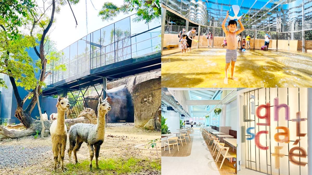12歲以下免費入園!南北2大動物園推「全新用餐區」,先衝全台唯一貓熊餐廳