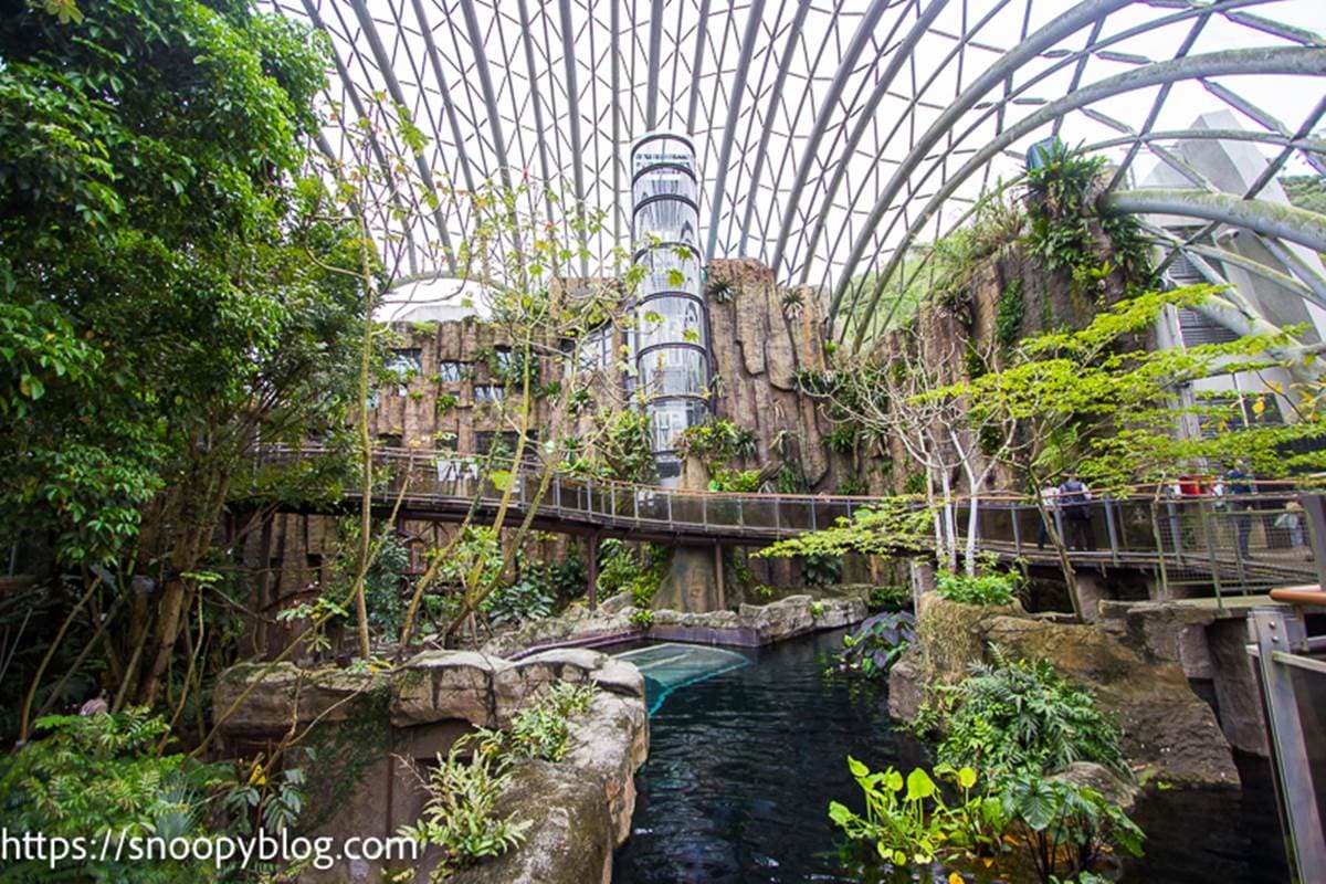 暑假帶小孩放電!必逛「最強動物園」TOP6:全台面積最大、12歲以下免費入園 暑假帶小孩放電!必逛「最強動物園」TOP6:全台面積最大、12歲以下免費入園
