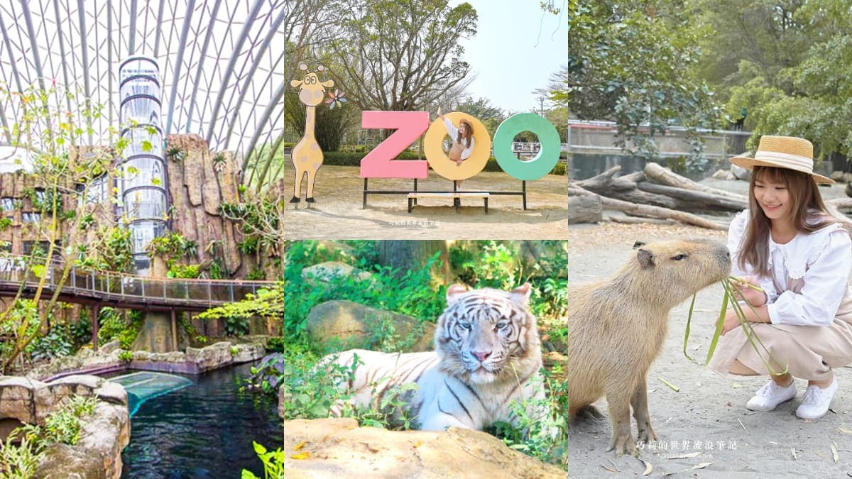 暑假帶小孩放電!必逛「最強動物園」TOP6:全台面積最大、12歲以下免費入園