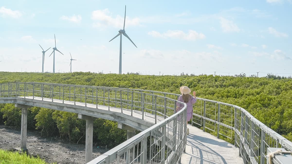 芳苑濕地紅樹林海空步道