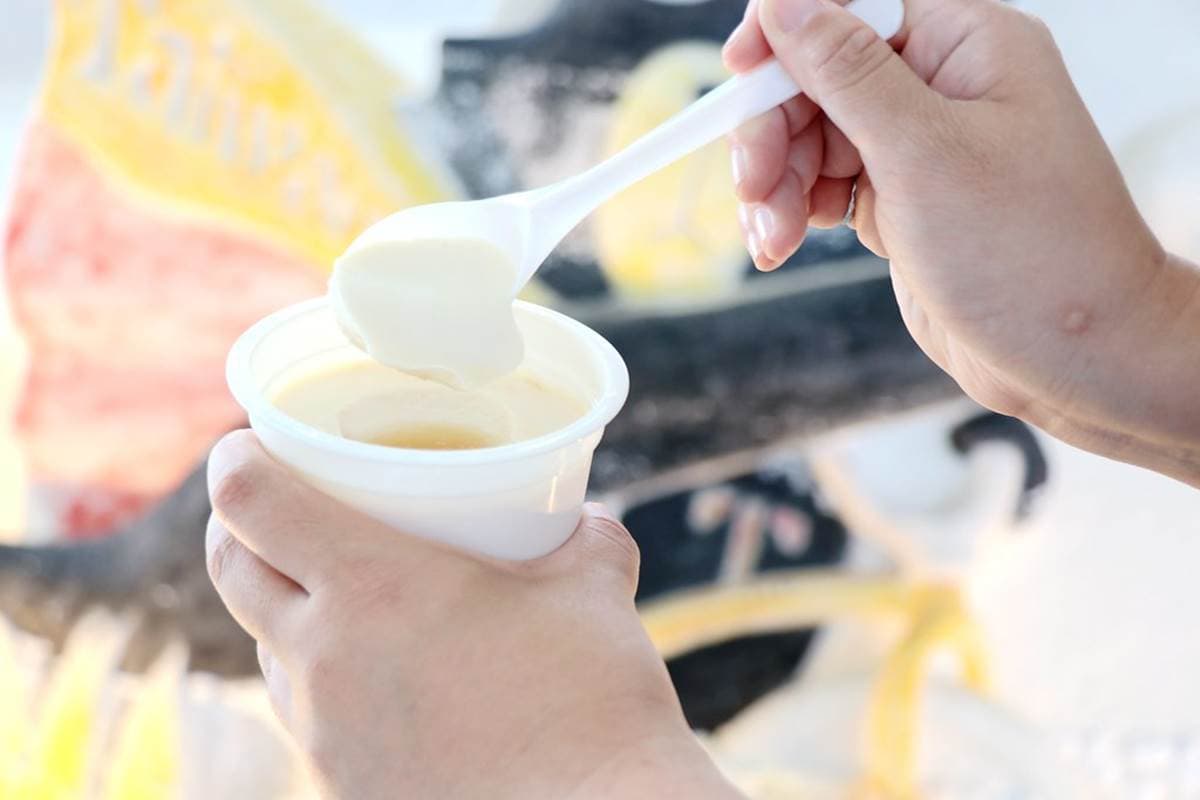 只有2天!全台最大「恐龍風箏嘉年華」在台南,25米長飛龍、Q版三角龍超好拍 只有2天!全台最大「恐龍風箏嘉年華」在台南,25米長飛龍、Q版三角龍超好拍