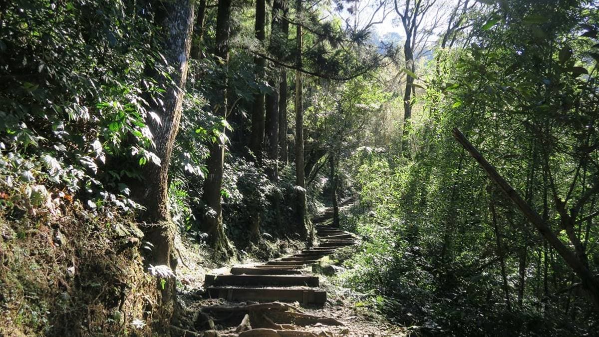 奮起湖大凍山步道 img