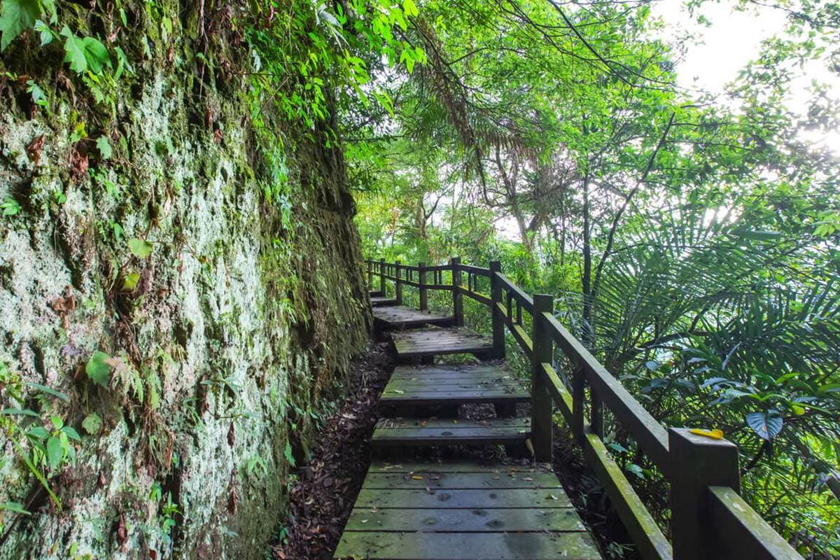 別只去阿里山!嘉義梅山12大祕境:最美茶園步道、台版九寨溝、海拔最高吊橋 別只去阿里山!嘉義梅山12大祕境:最美茶園步道、台版九寨溝、海拔最高吊橋