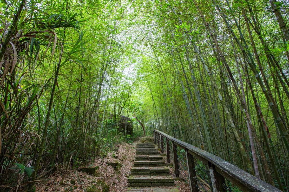 別只去阿里山!嘉義梅山12大祕境:最美茶園步道、台版九寨溝、海拔最高吊橋 別只去阿里山!嘉義梅山12大祕境:最美茶園步道、台版九寨溝、海拔最高吊橋