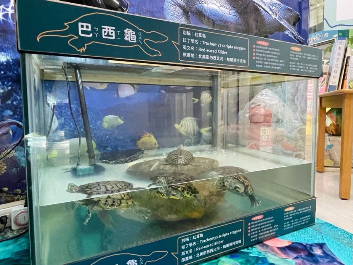 免花錢帶小孩放電!台北11大最強「免費親子館」:迷你駕訓班、樹屋遊樂場 免花錢帶小孩放電!台北11大最強「免費親子館」:迷你駕訓班、樹屋遊樂場