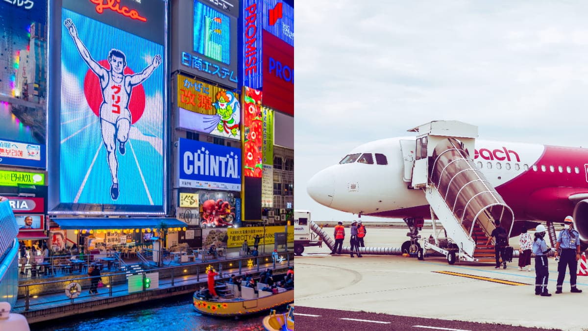 最低免3000元飛日本!樂桃航空航線促銷「只有3天」,加碼購票方式一次看