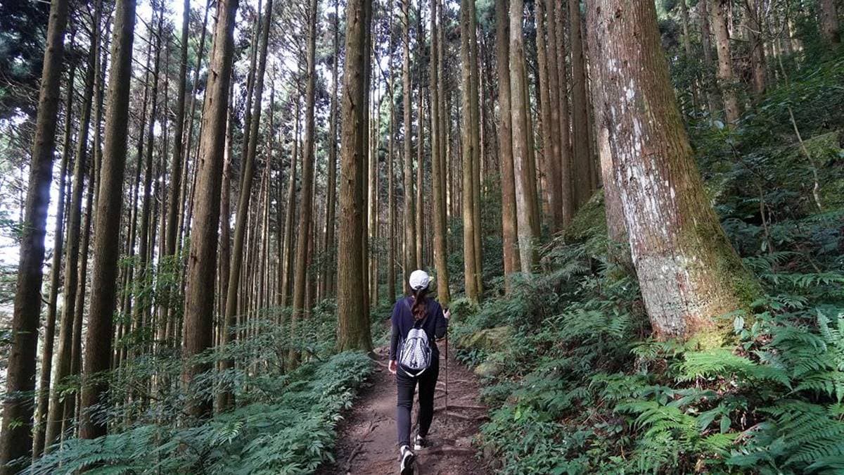 加里山步道
