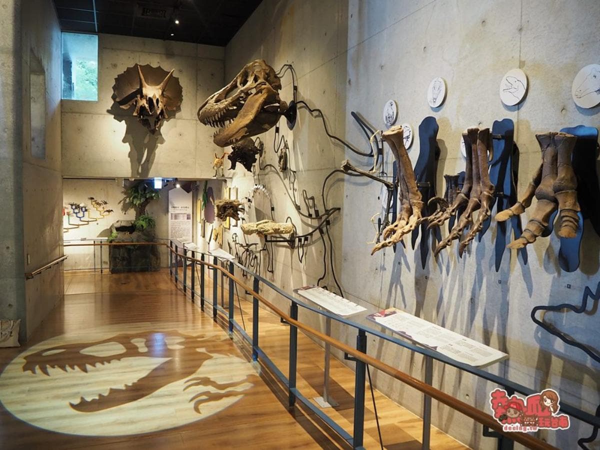 台版「侏儸紀公園」!打卡10處恐龍景點:6萬坪鳥類動物園、恐龍骸骨免費拍 台版「侏儸紀公園」!打卡10處恐龍景點:6萬坪鳥類動物園、恐龍骸骨免費拍