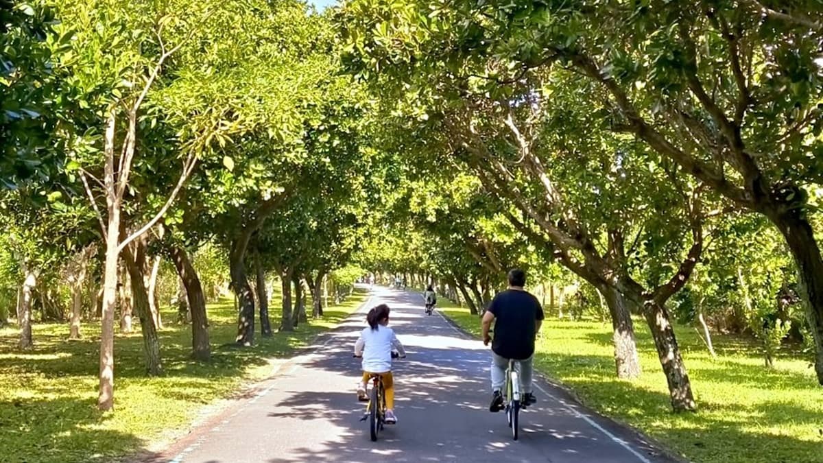 台東森林公園 img