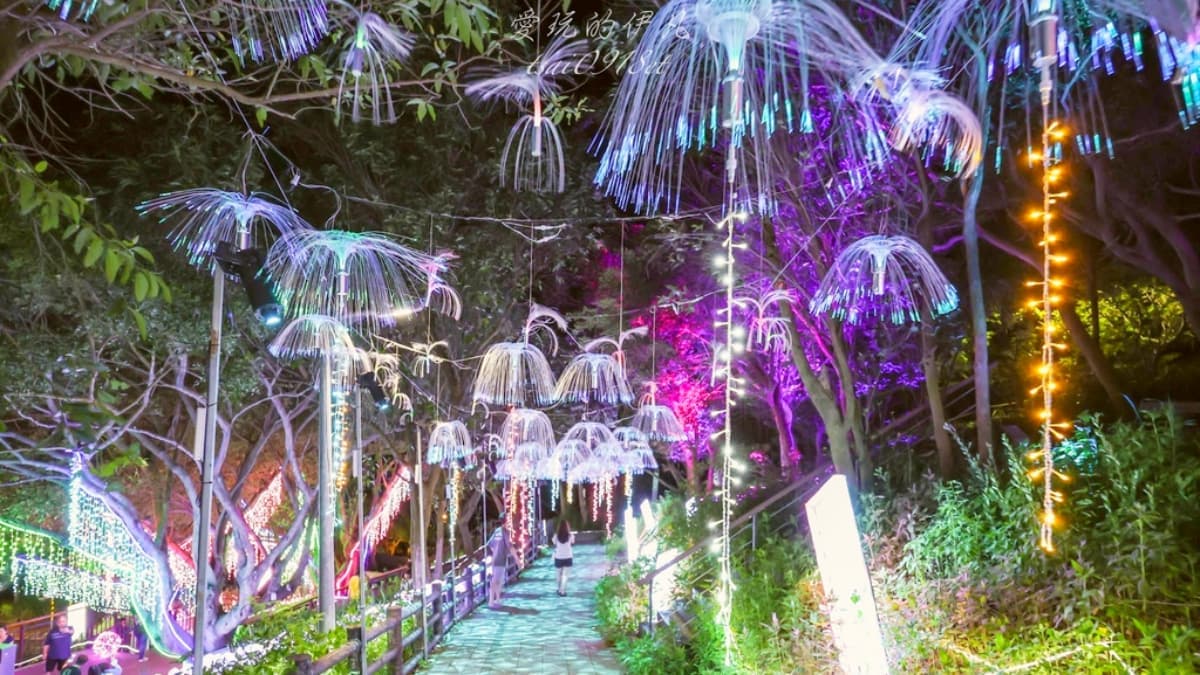 只到8月底快朝聖!桃園免門票「夜景步道」夢幻光雕秀美翻,搶拍水母光廊