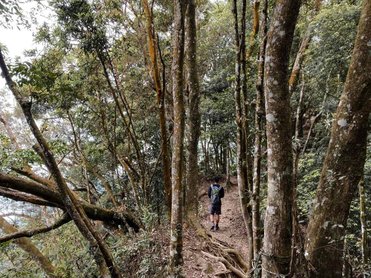 避暑祕境快收藏!苗栗6條免門票「私房步道」:羽量級小百岳、美國大峽谷 避暑祕境快收藏!苗栗6條免門票「私房步道」:羽量級小百岳、美國大峽谷