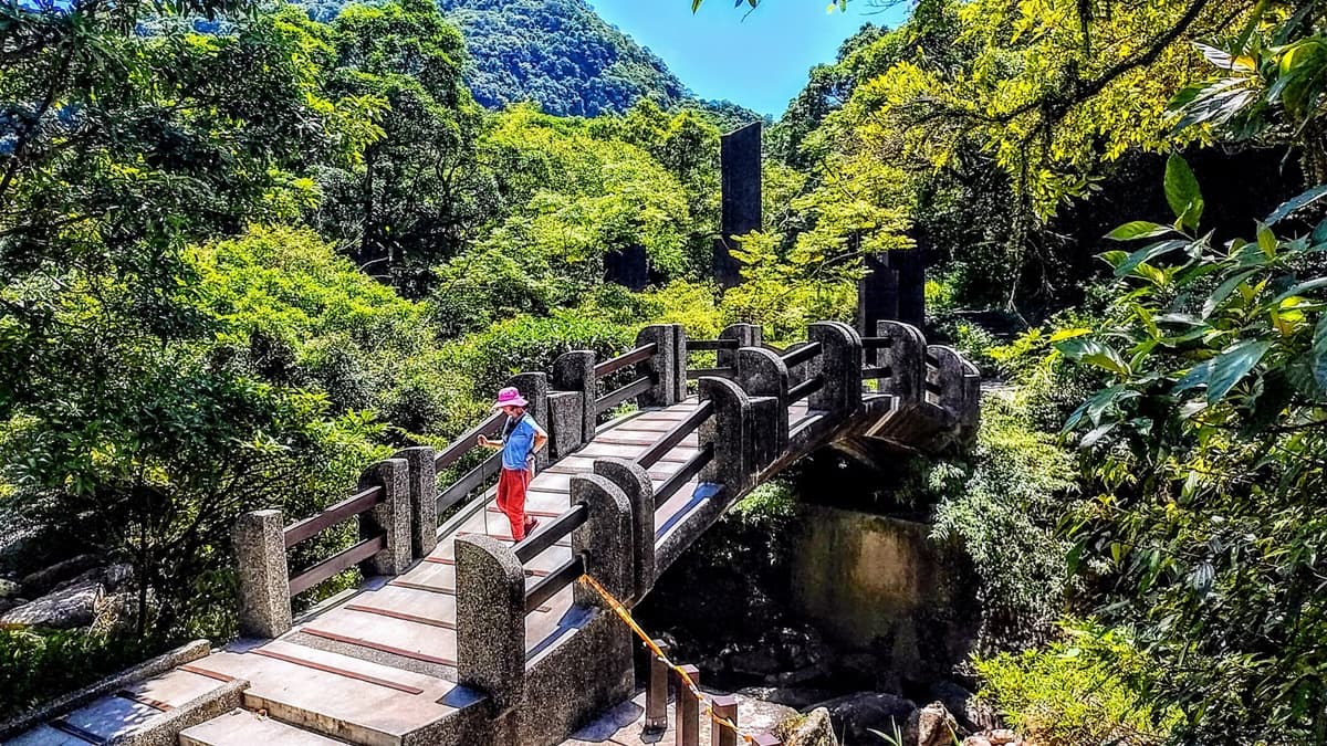 銀髮一起玩旅行社