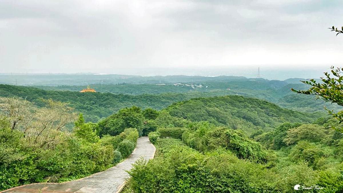 茶山步道 img