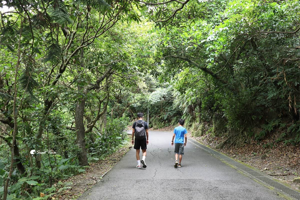 最快5分鐘輕鬆攻頂!新北9條懶人步道:台版「奧入瀨溪流」、絕美陰陽海 最快5分鐘輕鬆攻頂!新北9條懶人步道:台版「奧入瀨溪流」、絕美陰陽海