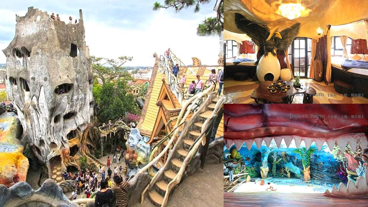 暗黑壞掉版「童話屋」!入住「扭曲枯木洞、鯊魚嘴」超狂,快衝世界最怪旅館