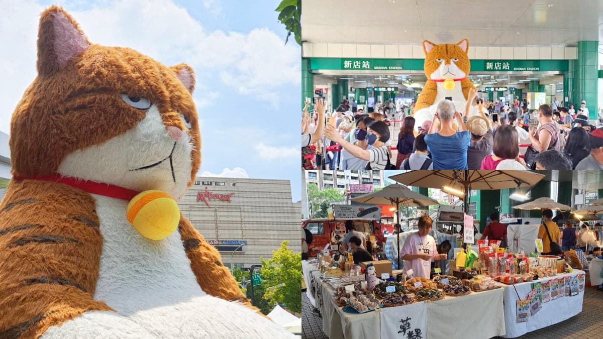 3米高厭世橘貓「這4天」快閃雙北!打卡順逛19家美食+文創市集,貓奴開追