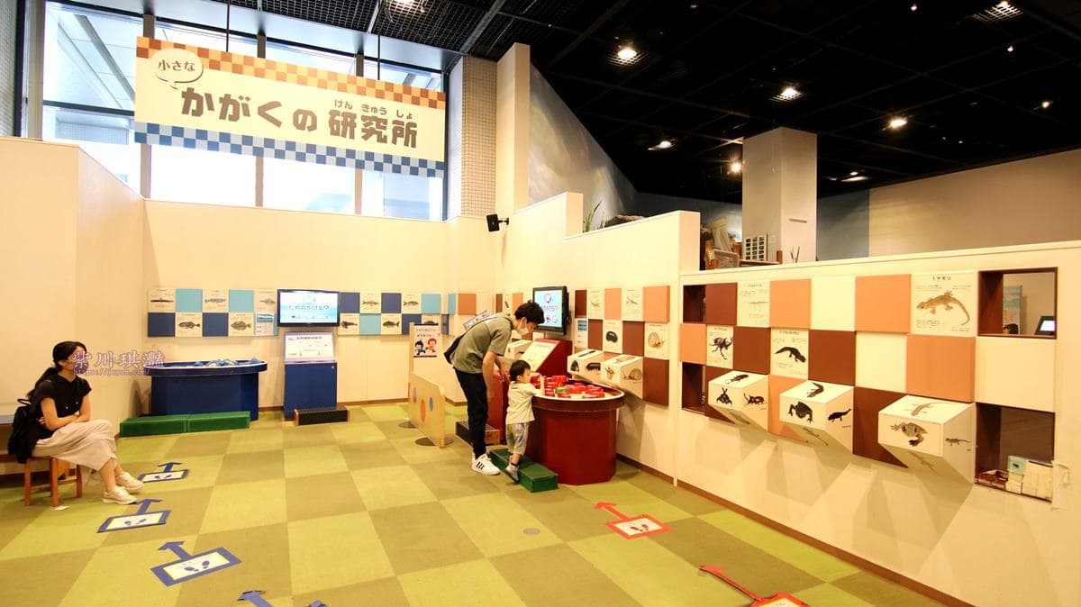 占地5層樓兒童城在這!入園先衝3樓高溜滑梯,再cosplay郵差、叫賣哥玩翻 占地5層樓兒童城在這!入園先衝3樓高溜滑梯,再cosplay郵差、叫賣哥玩翻
