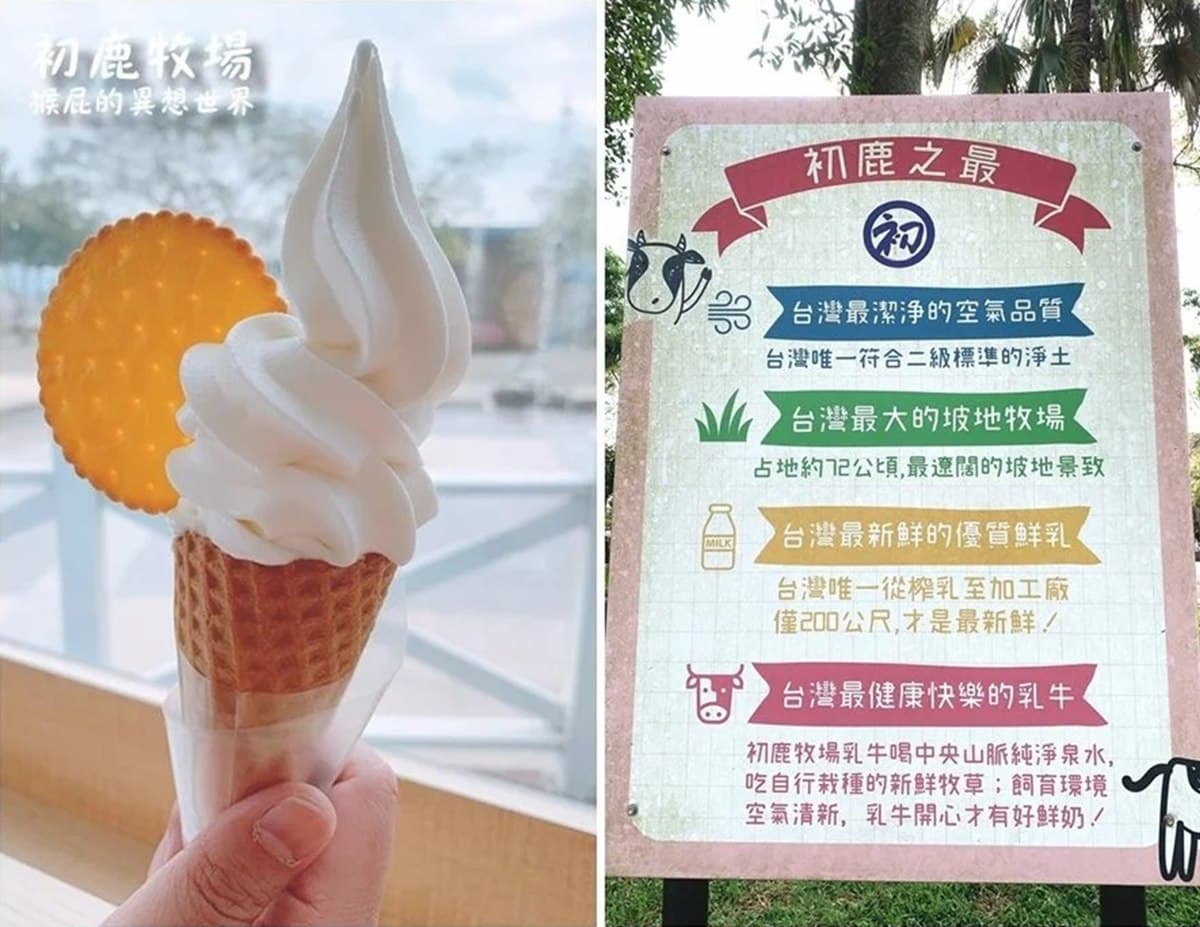 抓住暑假尾巴!花東7放電系「親子景點」:免門票農場、全台最大海盜船公園 抓住暑假尾巴!花東7放電系「親子景點」:免門票農場、全台最大海盜船公園