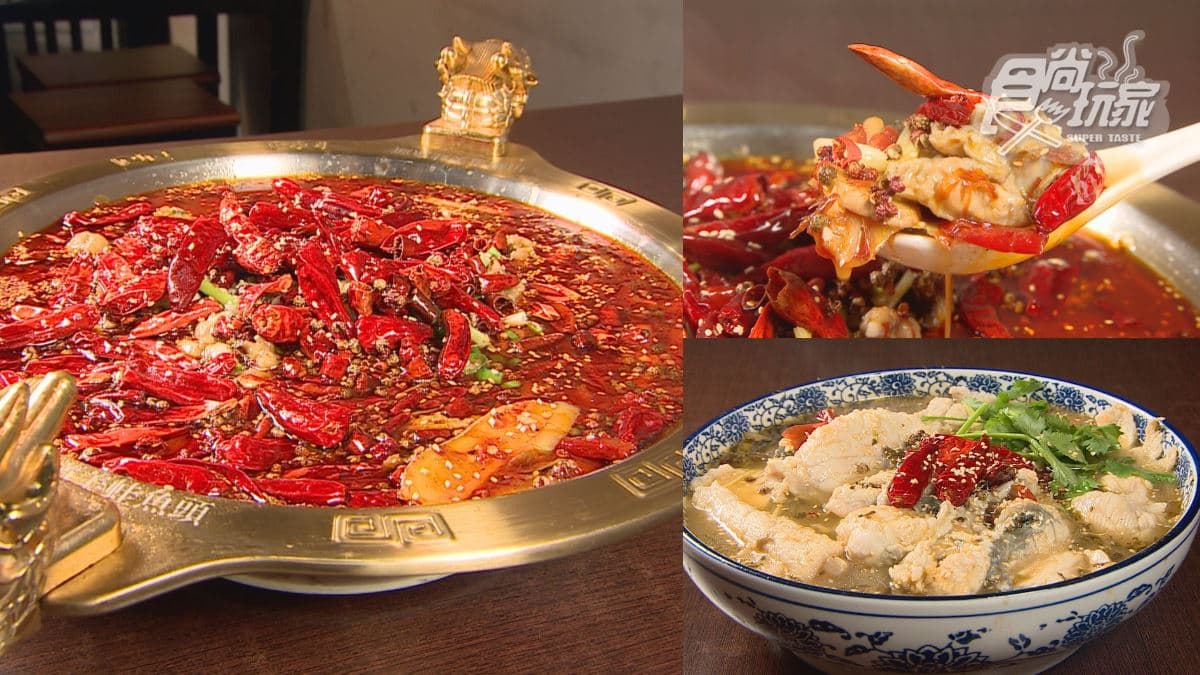 台中必吃正宗四川味!爽嗑道地酸菜魚、牛蛙鍋,成都闆娘原味重現家鄉菜