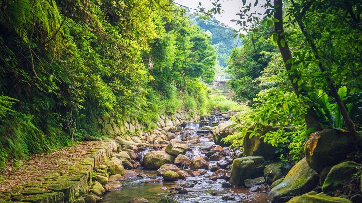 陽明山玩水祕境!「玻璃屋餐廳」前方就是戲水區,現烤桶仔雞預約排到9月