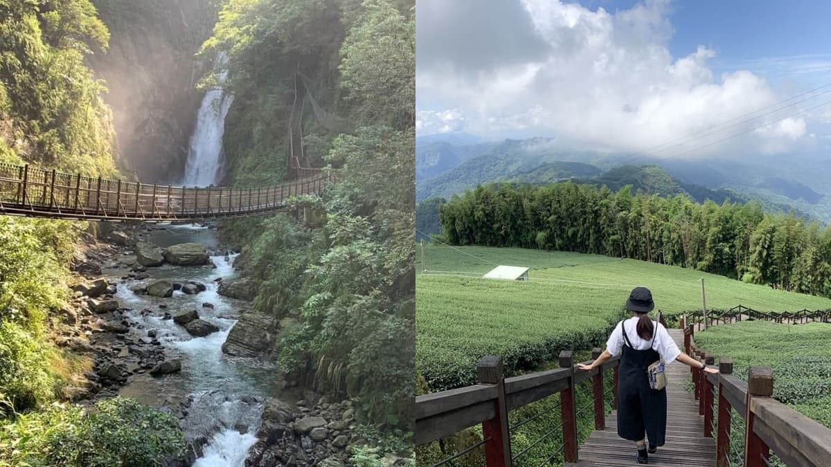 嘉義最消暑玩法!2大瀑布祕境+10條森林步道:阿里山五星級步道、嵐山竹林