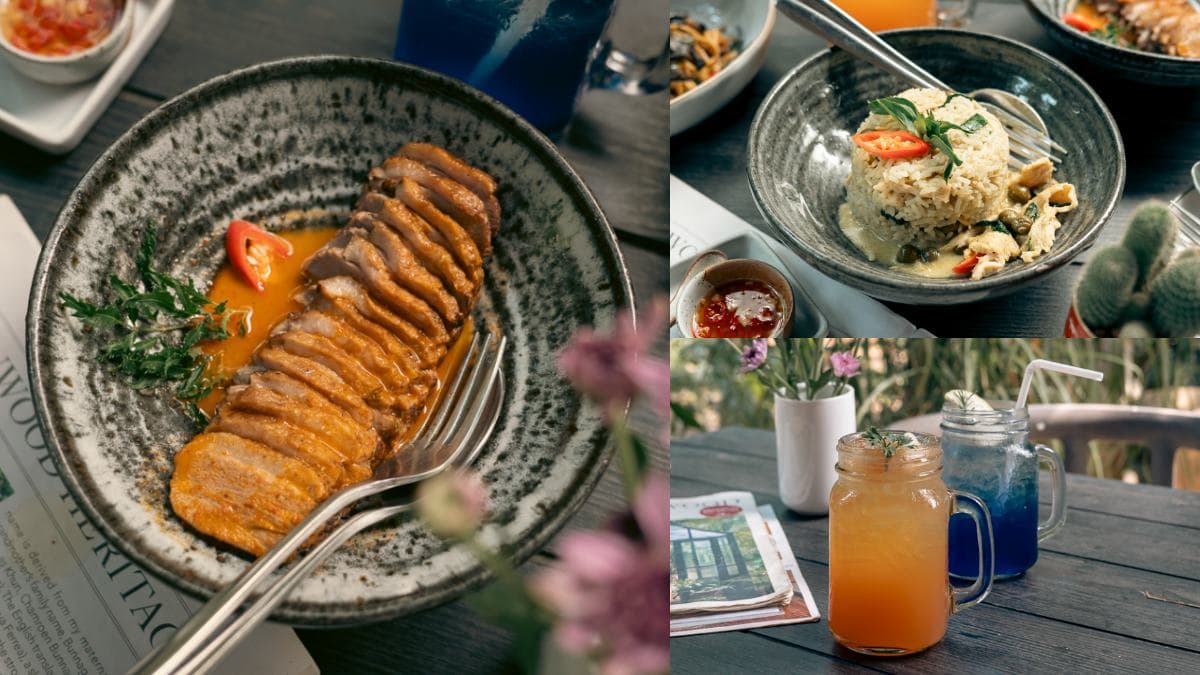 飛泰國吃米其林!特搜清邁5家必比登美食:泰北最強烤雞、人氣排隊咖哩金麵 飛泰國吃米其林!特搜清邁5家必比登美食:泰北最強烤雞、人氣排隊咖哩金麵