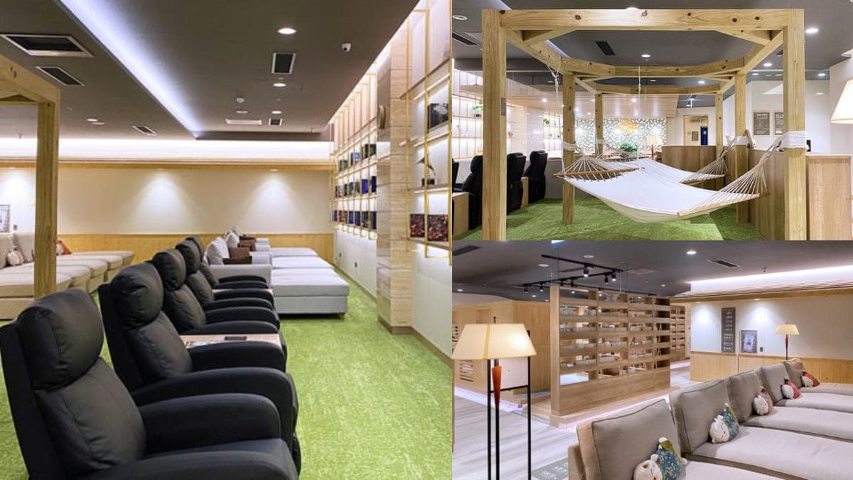 不只六福村!新竹必訪6室內景點:全台最大「乾式溫泉」、隱藏版迷你動物園 不只六福村!新竹必訪6室內景點:全台最大「乾式溫泉」、隱藏版迷你動物園