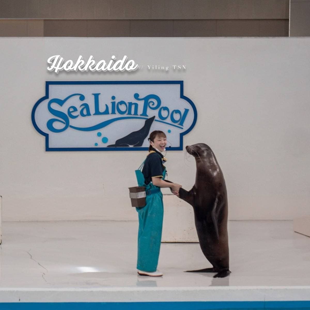 不用飛北歐!童話風「城堡水族館」在這,先搭摩天輪再看暴紅「大王具足蟲」 不用飛北歐!童話風「城堡水族館」在這,先搭摩天輪再看暴紅「大王具足蟲」