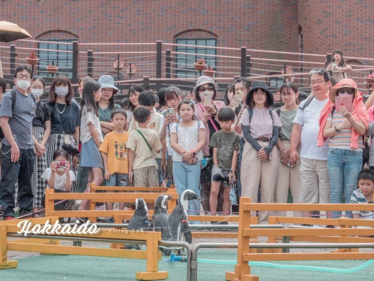 不用飛北歐!童話風「城堡水族館」在這,先搭摩天輪再看暴紅「大王具足蟲」 不用飛北歐!童話風「城堡水族館」在這,先搭摩天輪再看暴紅「大王具足蟲」