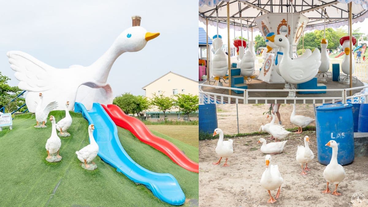 雲林免費景點推薦TOP12:飛天鵝溜滑梯、彩色松鼠公園、1秒飛泰國的台版大皇宮 雲林親子景點推薦:鵝童樂園