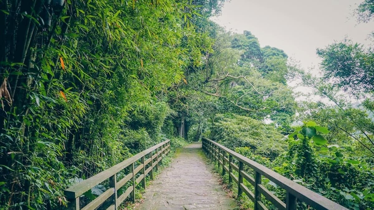 福隆山登山步道 img