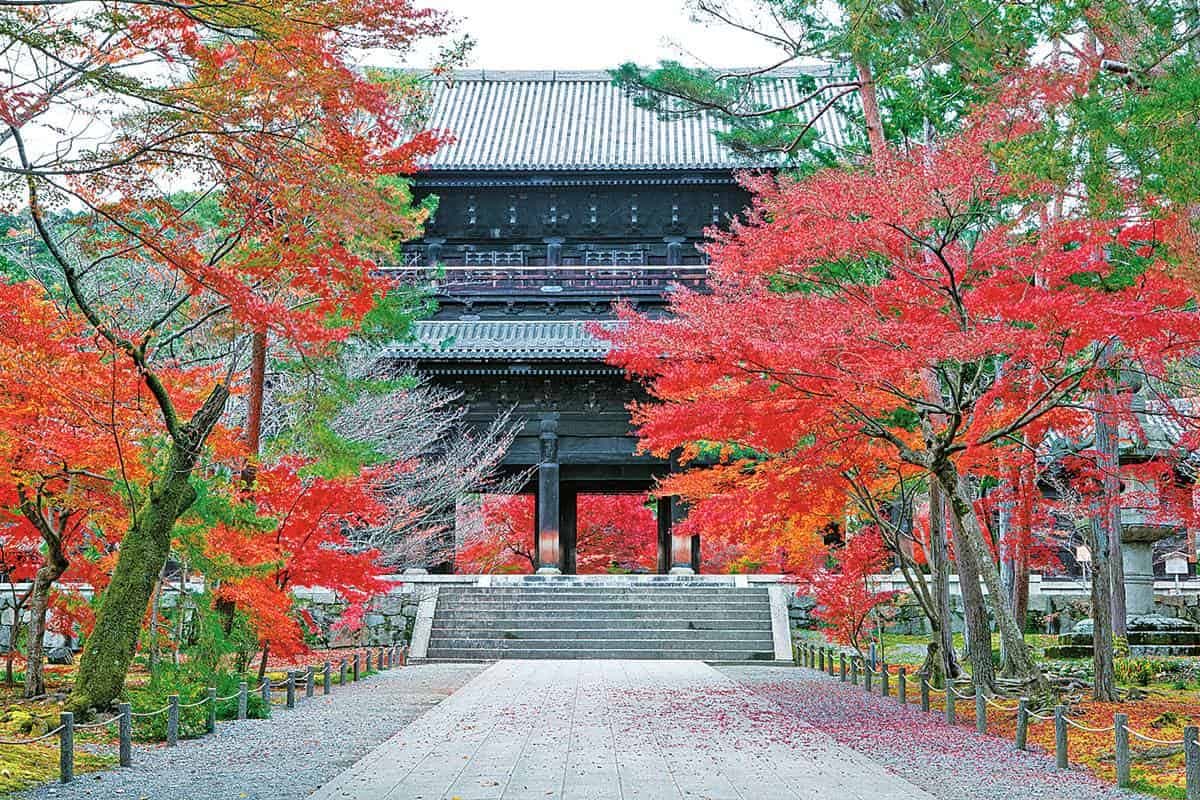 京都賞楓準備!最美路線5景點1次玩:每年限時開放、晚上還能賞夜楓 京都賞楓準備!最美路線5景點1次玩:每年限時開放、晚上還能賞夜楓