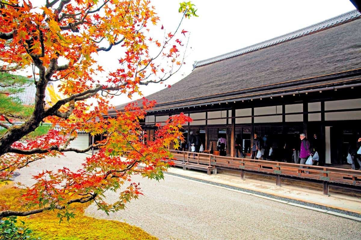京都賞楓準備!最美路線5景點1次玩:每年限時開放、晚上還能賞夜楓 京都賞楓準備!最美路線5景點1次玩:每年限時開放、晚上還能賞夜楓