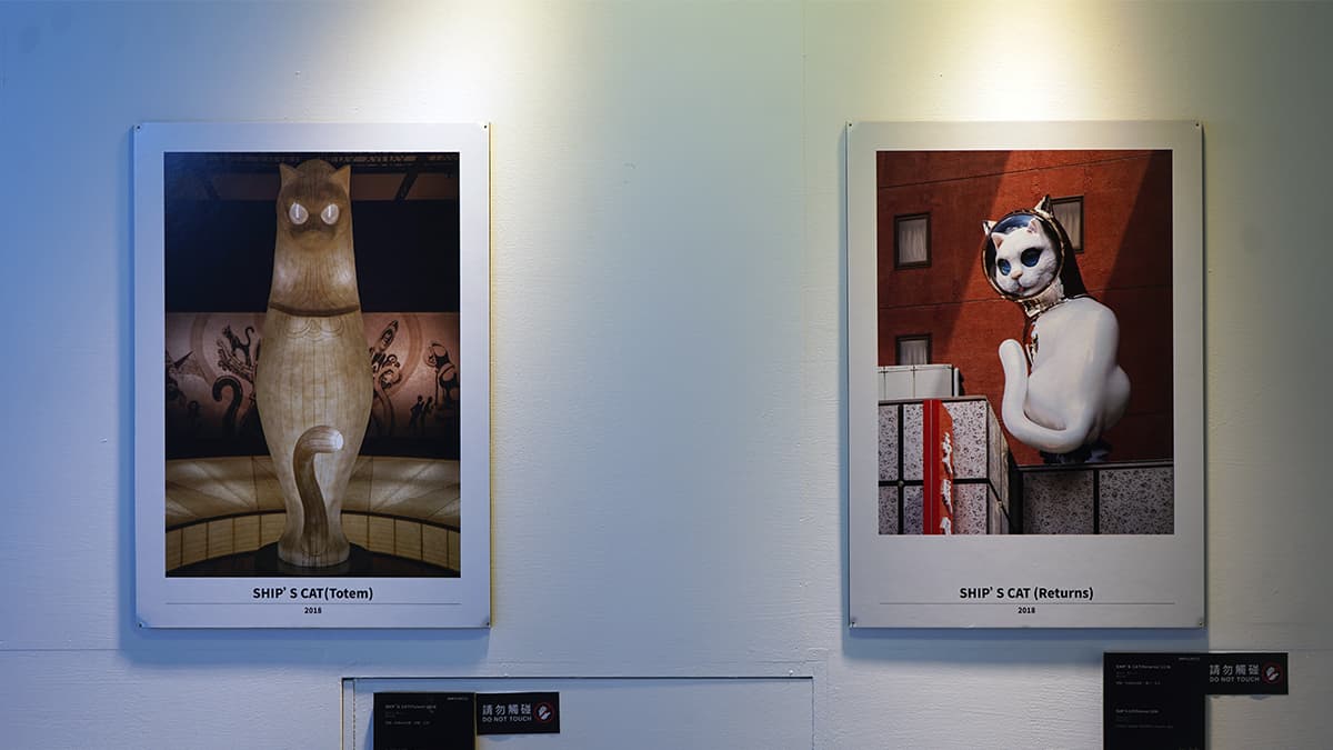 日本人氣「船仔貓特展」首登台!打卡3.7米高金屬巨貓、賽車貓貓,貓奴必朝聖 日本人氣「船仔貓特展」首登台!打卡3.7米高金屬巨貓、賽車貓貓,貓奴必朝聖
