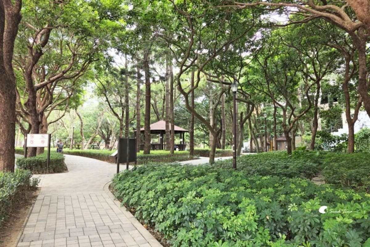 別只去故宮!士林6處「隱藏版景點」快衝:外雙溪祕境、IG暴紅「水中步道」 別只去故宮!士林6處「隱藏版景點」快衝:外雙溪祕境、IG暴紅「水中步道」