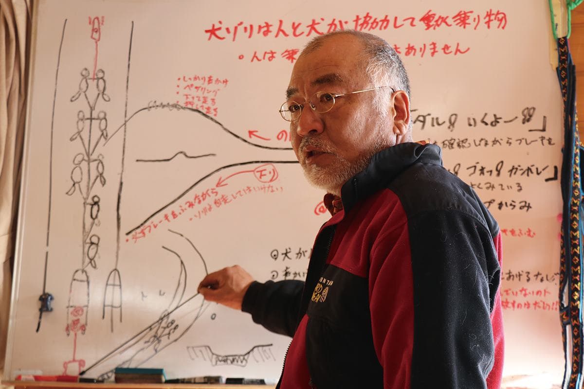 想玩不用飛北歐!北海道必試「自駕狗狗雪橇」,飆速「策狗狂奔」一次就上手 想玩不用飛北歐!北海道必試「自駕狗狗雪橇」,飆速「策狗狂奔」一次就上手